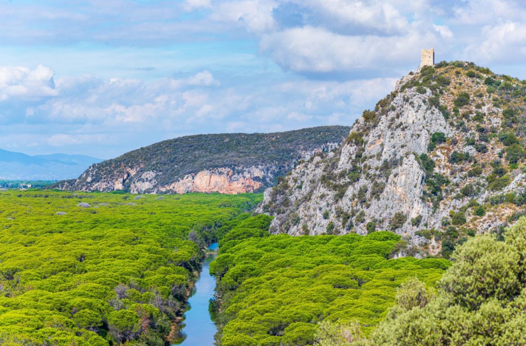 Ancient tower ruins in Maremma nature reserve, Tuscany, Italy. Extensive pine forest blue river in green woodland in natural park, dramatic coast rocky headland