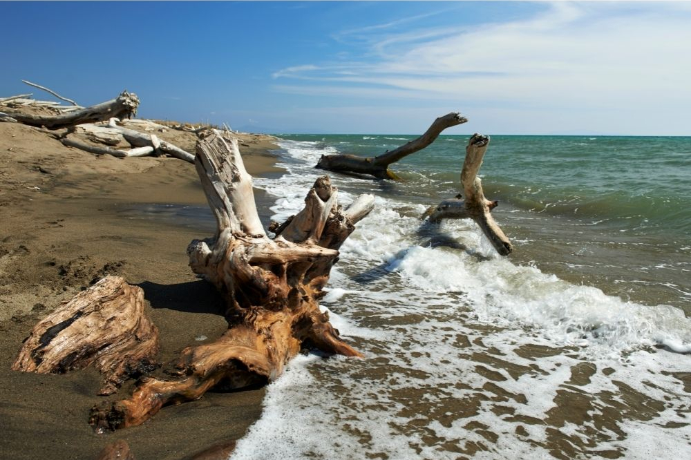 spiaggia alberese