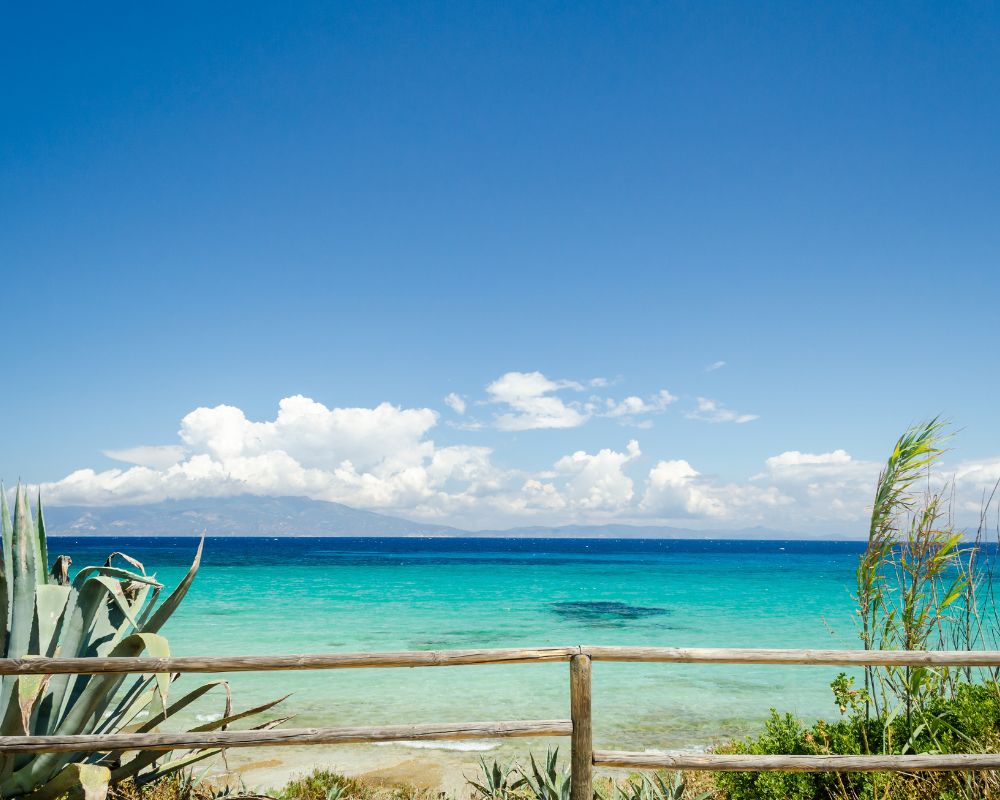 pianosa