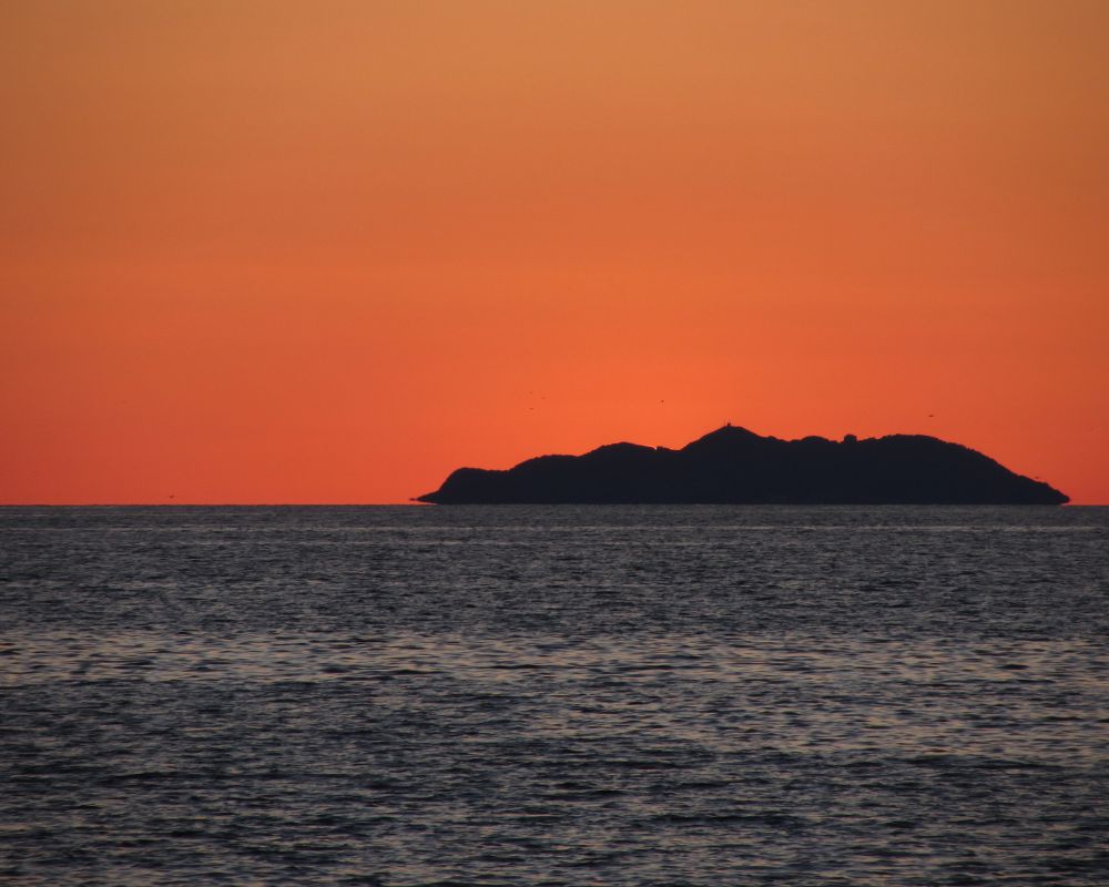gorgona vista